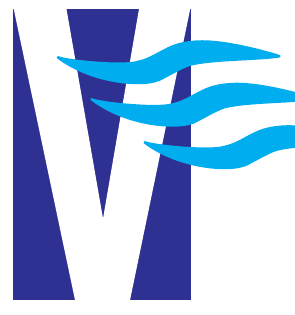 VIJENTA GLOBAL